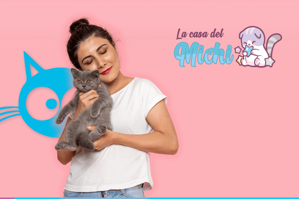 Venta de camas y ropa para gatos