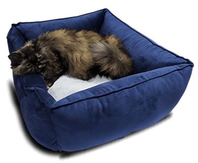 Ropa para gatos en Lima