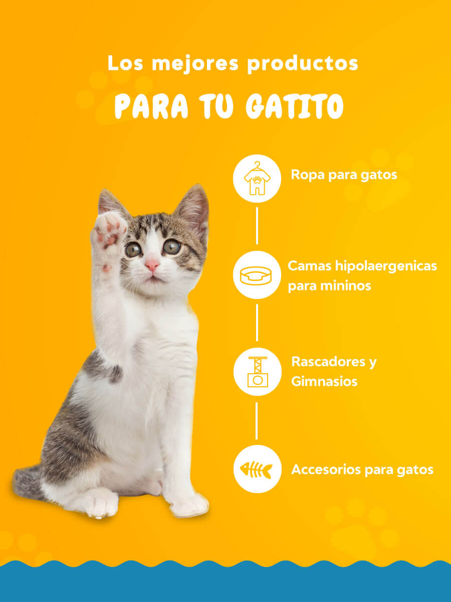 Posicionamiento web en Lima